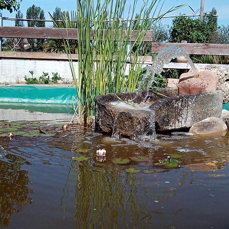 B&B La Gioiosa Assisi Kültér fotó