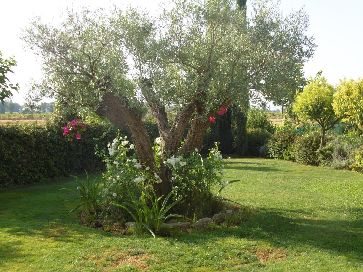 B&B La Gioiosa Assisi Kültér fotó