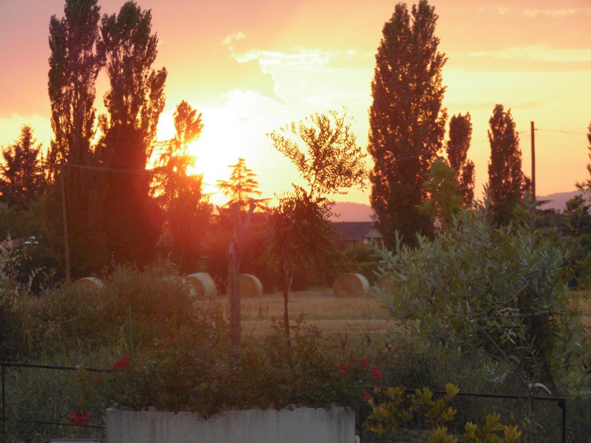 B&B La Gioiosa Assisi Kültér fotó